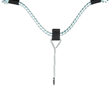 Bungee with hook